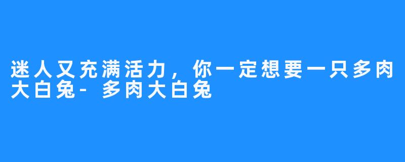 迷人又充满活力，你一定想要一只多肉大白兔-多肉大白兔