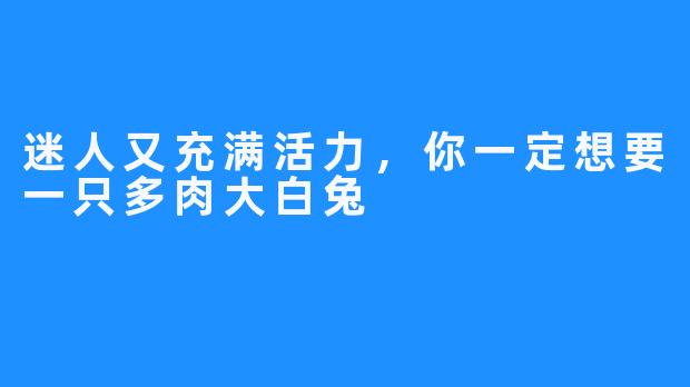 迷人又充满活力，你一定想要一只多肉大白兔