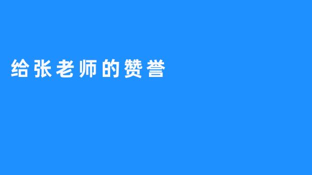 给张老师的赞誉