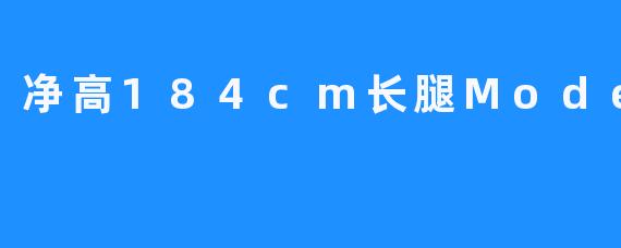 184cm身高的模特：自信、高大、帅气