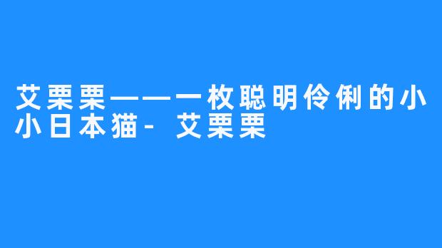 艾栗栗——一枚聪明伶俐的小小日本猫-艾栗栗