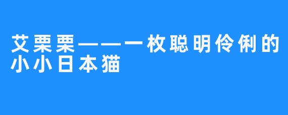 艾栗栗——一枚聪明伶俐的小小日本猫