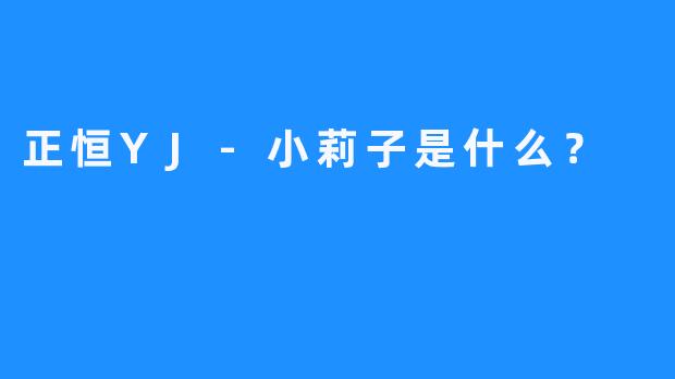 正恒YJ-小莉子是什么？