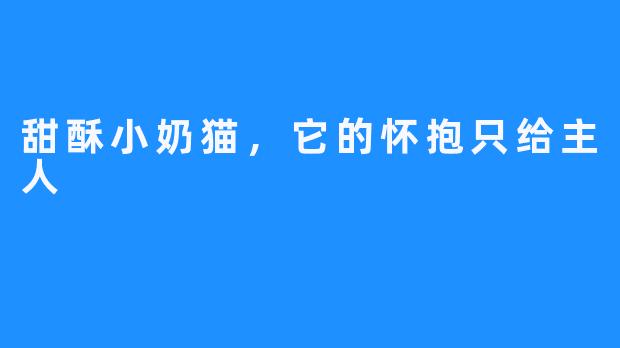 甜酥小奶猫,它的怀抱只给主人