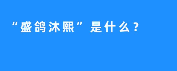 “盛鸽沐熙”是什么？