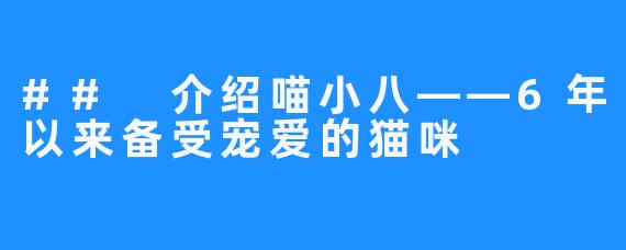 ## 介绍喵小八——6年以来备受宠爱的猫咪