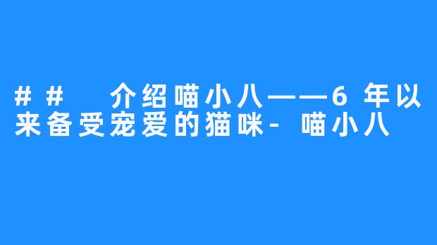 ## 介绍喵小八——6年以来备受宠爱的猫咪-喵小八