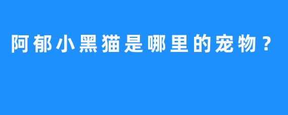 阿郁小黑猫是哪里的宠物？