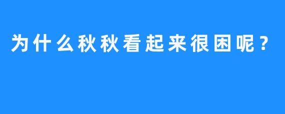 为什么秋秋看起来很困呢？