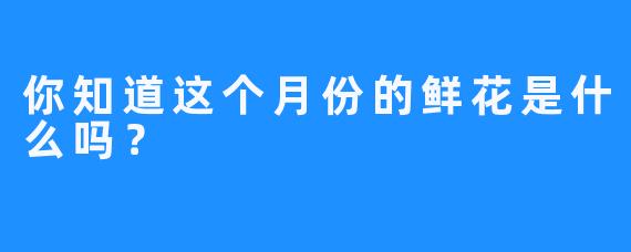 你知道这个月份的鲜花是什么吗？