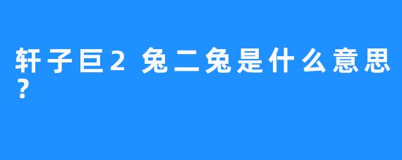 轩子巨2兔二兔是什么意思？