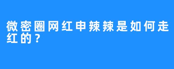 微密圈网红申辣辣是如何走红的？
