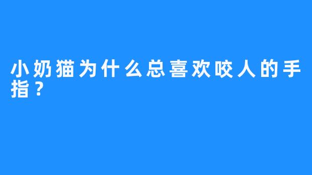 小奶猫为什么总喜欢咬人的手指？