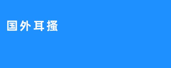 国外耳搔