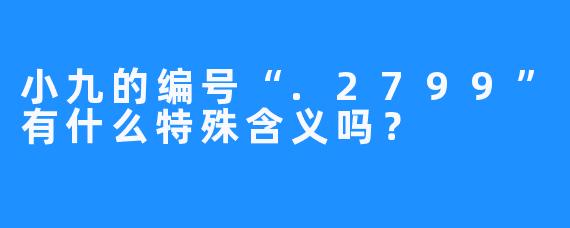 小九的编号“.2799”有什么特殊含义吗？