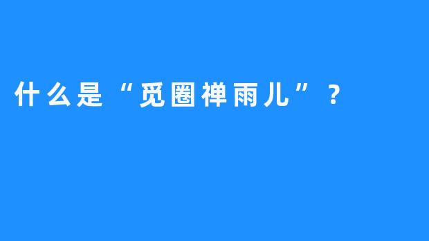 什么是“觅圈禅雨儿”？