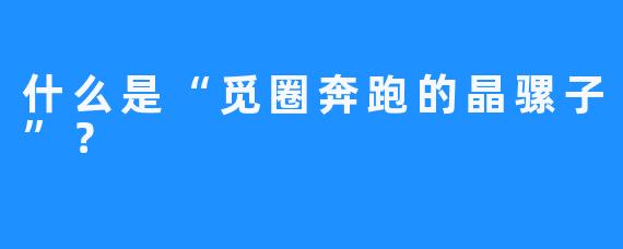 什么是“觅圈奔跑的晶骡子”？