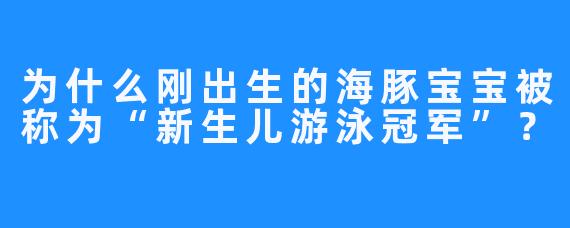 为什么刚出生的海豚宝宝被称为“新生儿游泳冠军”？